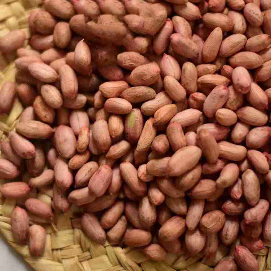 تصویر 1 از بادام زمینی بدون نمک تازه با طعم طبیعی