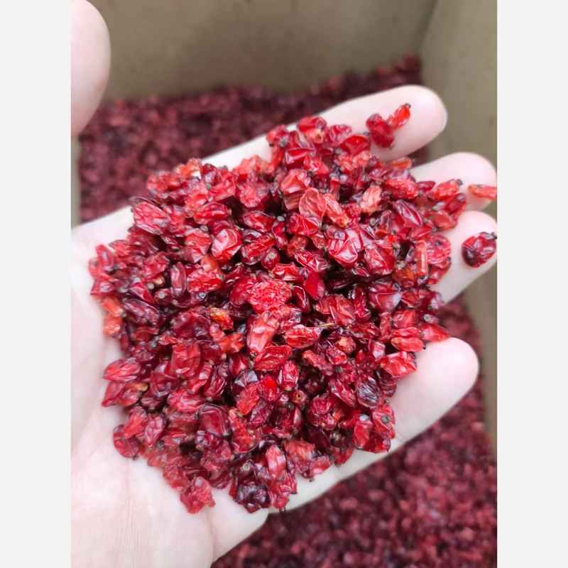 زرشک زیرتالاری با کیفیت مطلوب و ماندگار