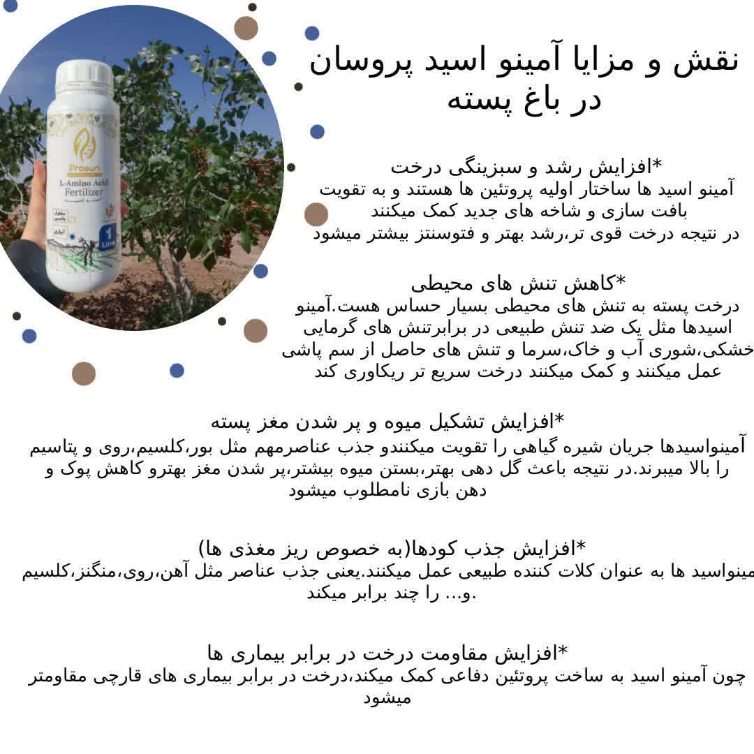 تصویر 4 از کود مایع اسید آمینه آلی