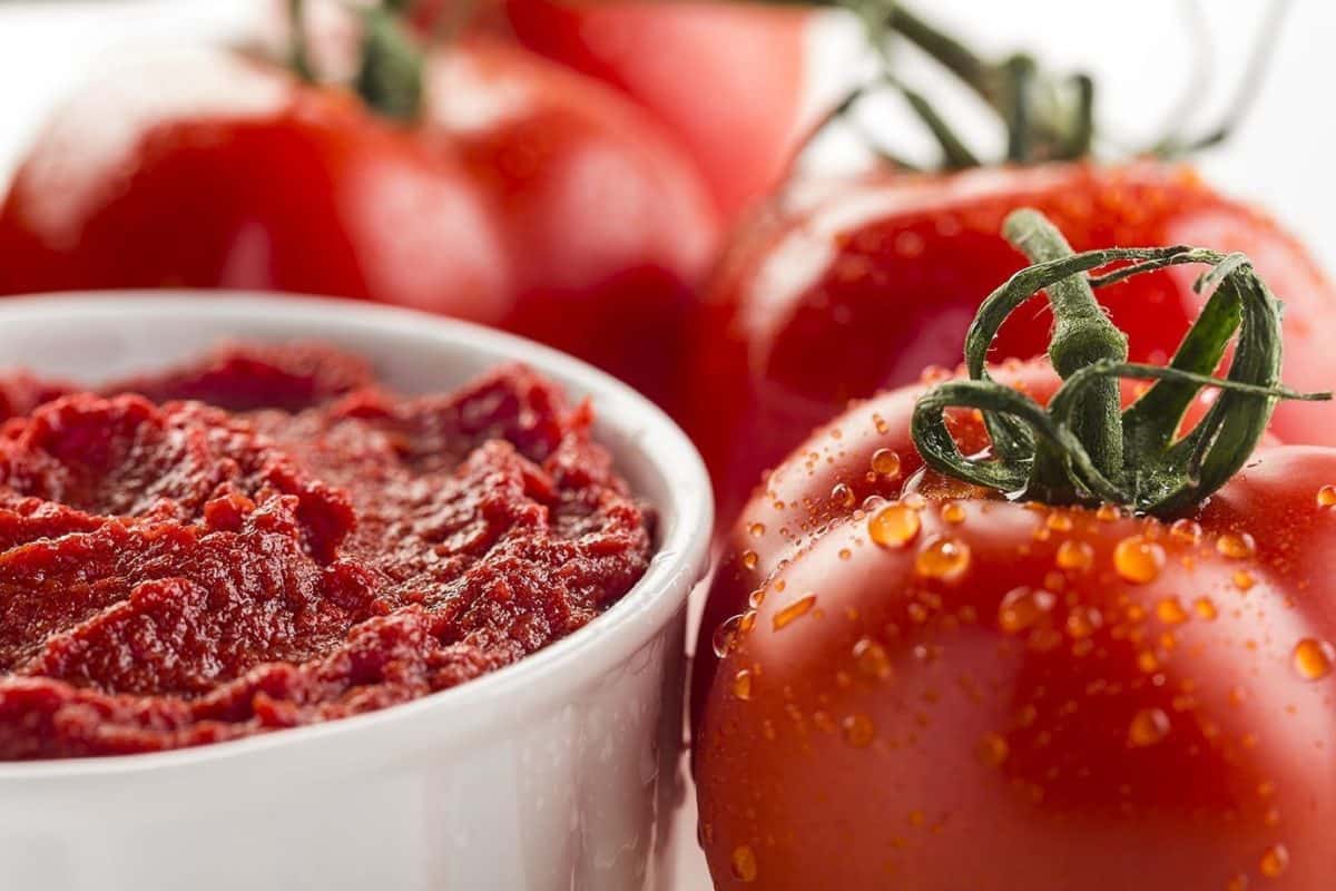 قیمت رب گوجه