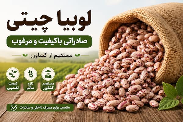 لوبیا