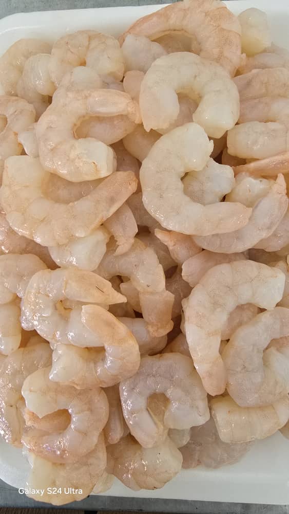 تصویر 1 از صادرات میگو به کشور عراق