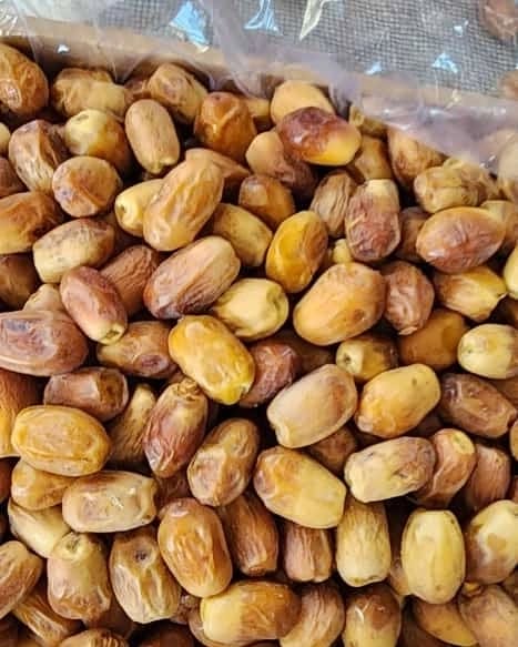 خرما زاهدی