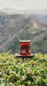 چای لاهیجان سرگل چه ویژگی‌هایی دارد