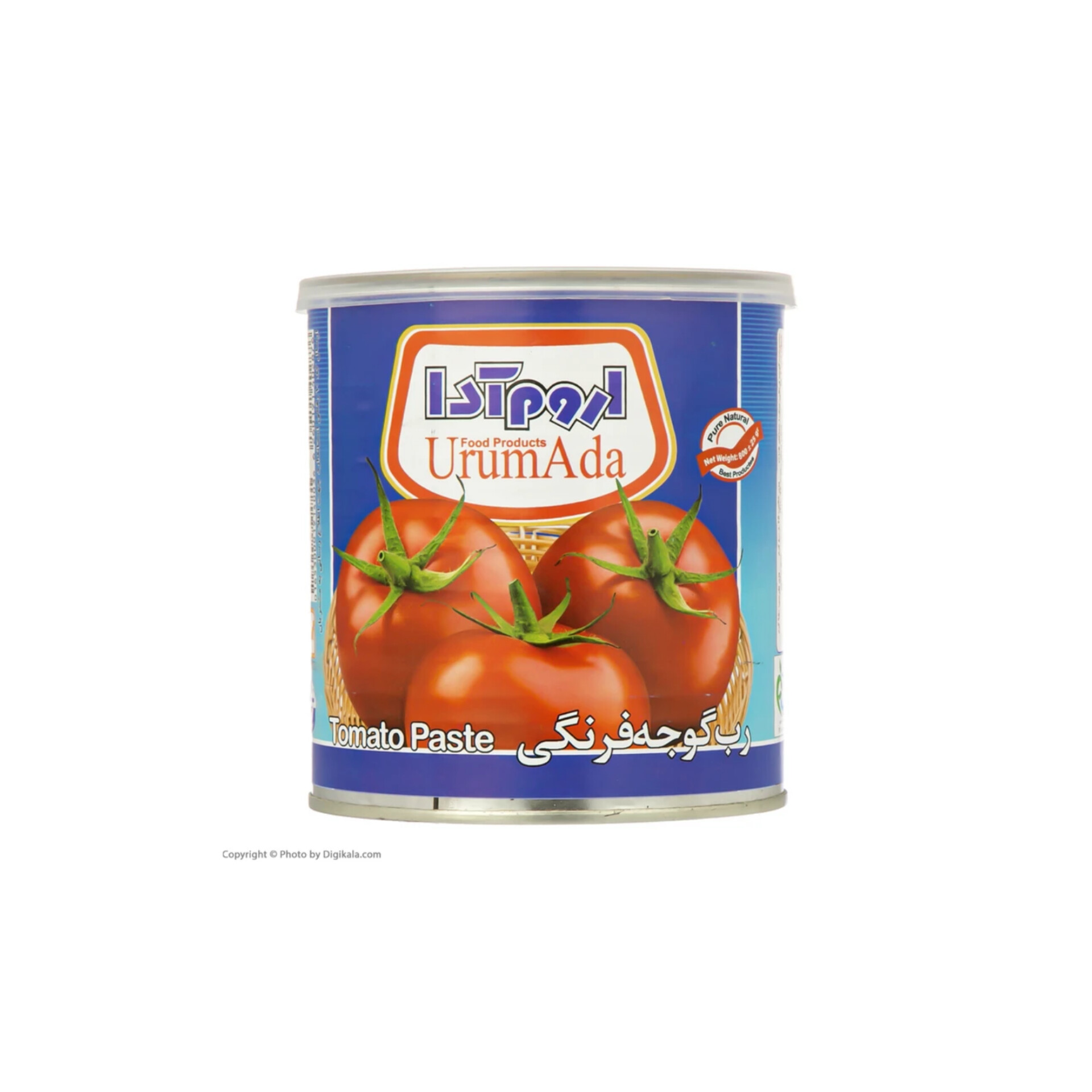 رب گوجه‌فرنگی ارم آدا انتخابی ممتاز برای توسعه صادرات مواد غذایی