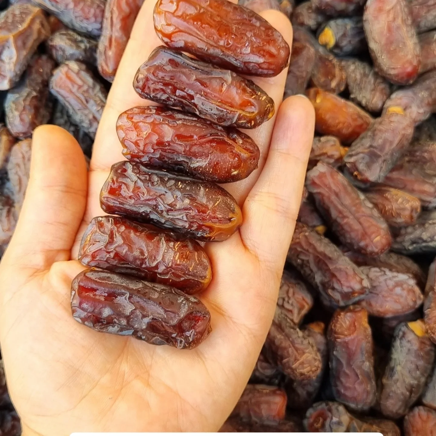 فرصت‌های صادرات خرمای پیارم