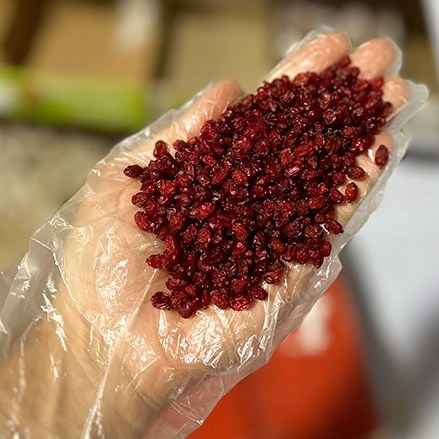 تصویر 2 از زرشک پفکی لوکس با رنگ طبیعی و یکدست