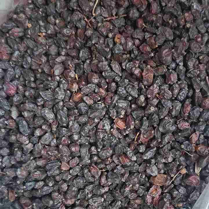 تصویر 1 از زرشک کوهی خرم آباد با کیفیت مطلوب و تازه