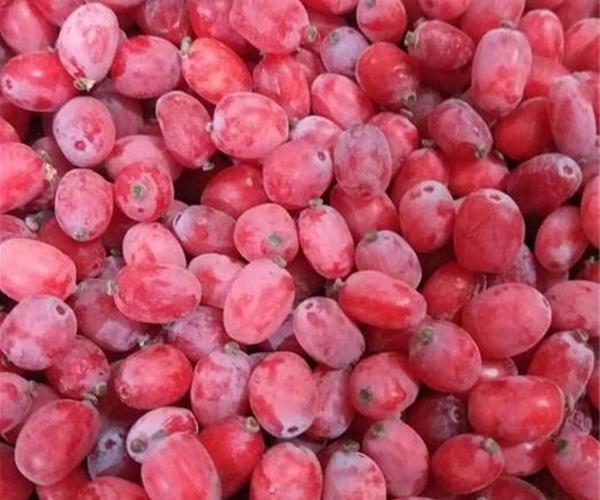 تصویر 3 از زرشک اناری درجه یک حاصل برداشت تازه و استاندارد