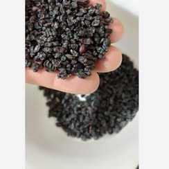 تصویر 2 از زرشک کوهی خراسان شمالی برداشت شده از مناطق کوهستانی
