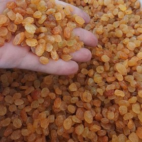 تصویر 4 از کشمش دودی ملایر با ظاهر جذاب و بازارپسند