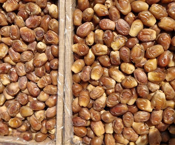 تصویر 1 از خرما زاهدی مرغوب انرژی زا برای تامین قوای بدن ورزشکاران