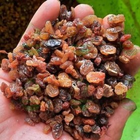 تصویر 3 از کشمش ضایعاتی گزینه ای اقتصادی برای تولیدات غذایی