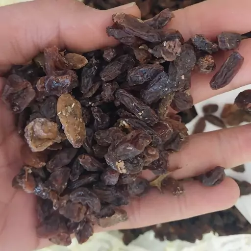 تصویر 4 از کشمش ضایعاتی گزینه ای اقتصادی برای تولیدات غذایی