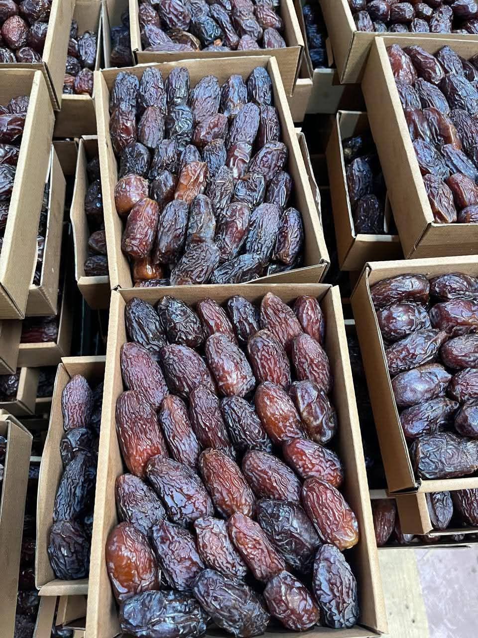 خرید عمده خرما مجول درجه ۱