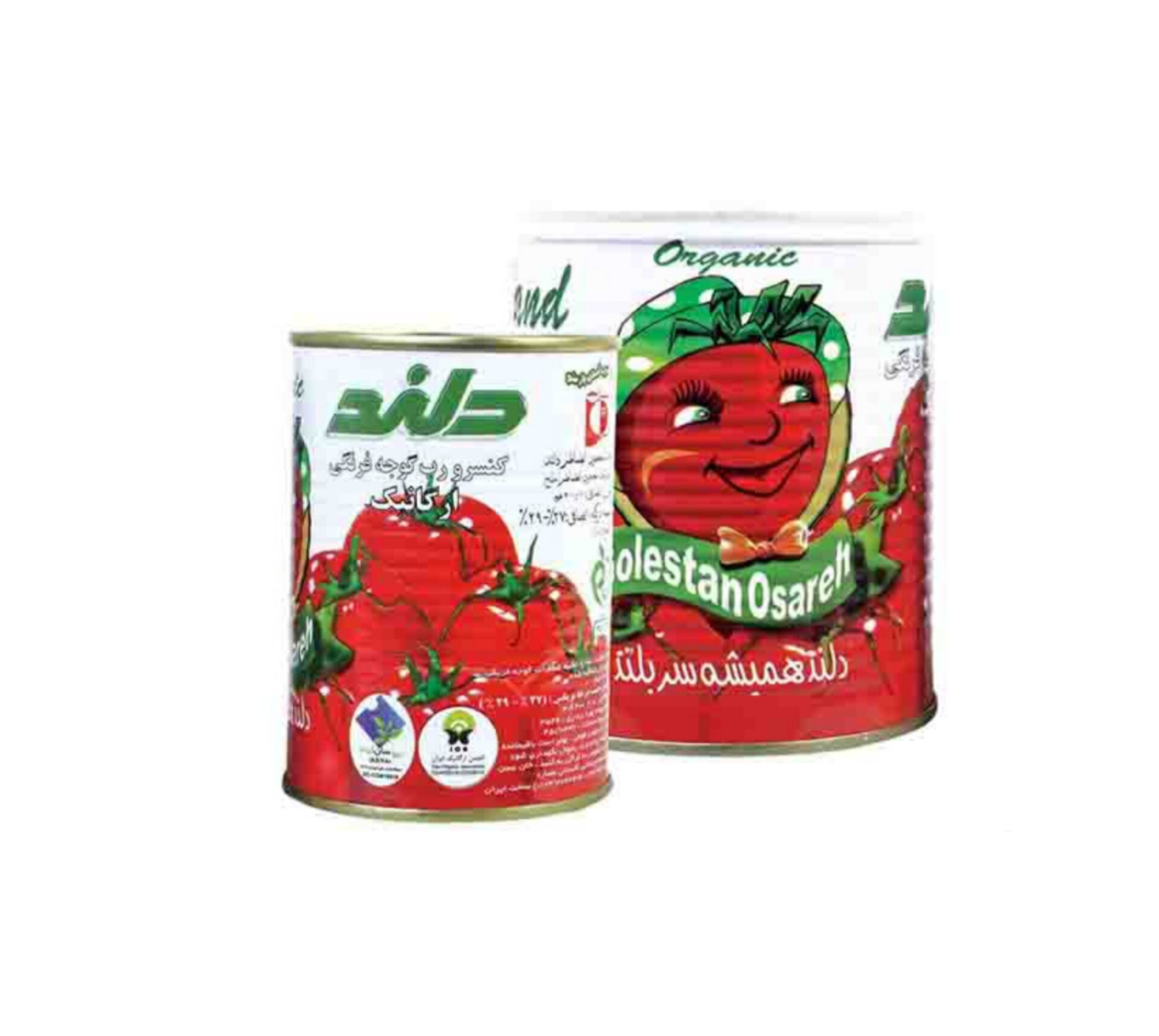 رب گوجه‌فرنگی دلند انتخاب برندهای حرفه‌ای در تجارت بین‌الملل برای خرید صادراتی