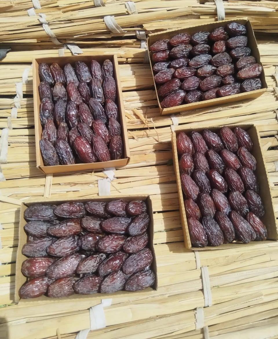 تصویر 1 از مزایای خرید عمده خرما مجول از ایران