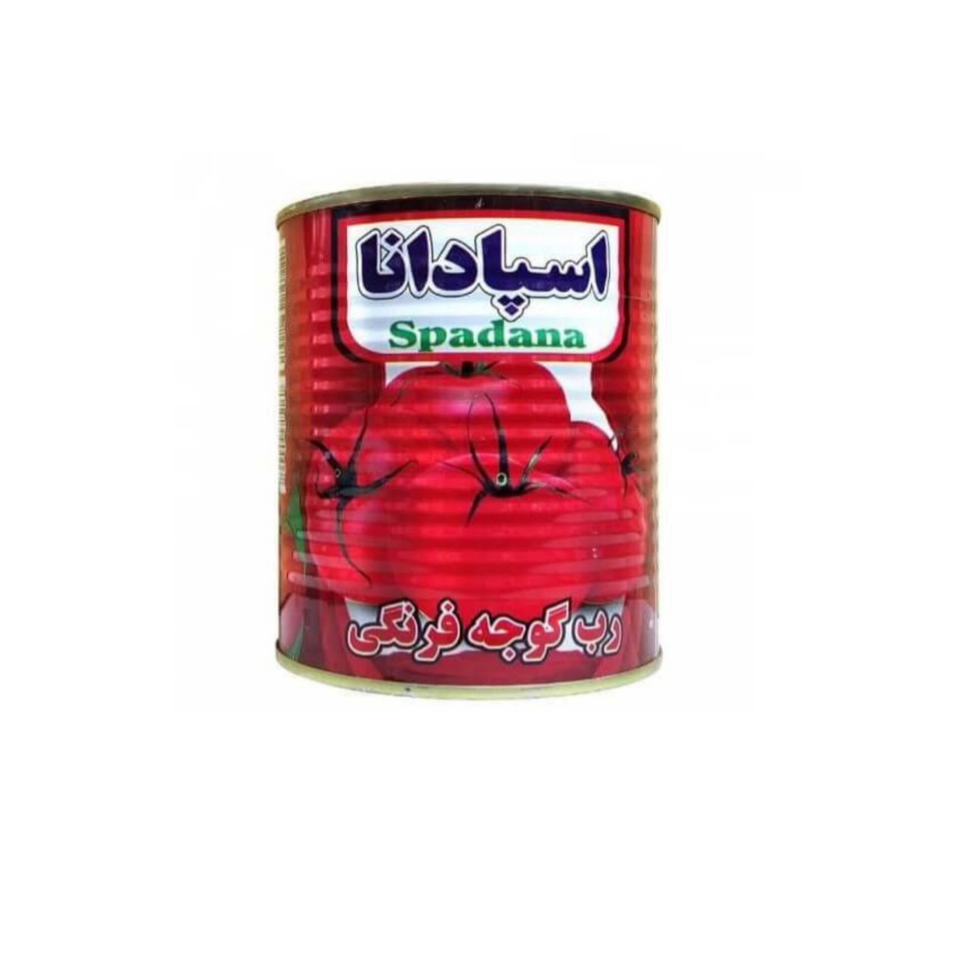 صادراتی موفق با رب گوجه‌فرنگی اسپادانا استانداردهای جهانی و قیمت رقابتی