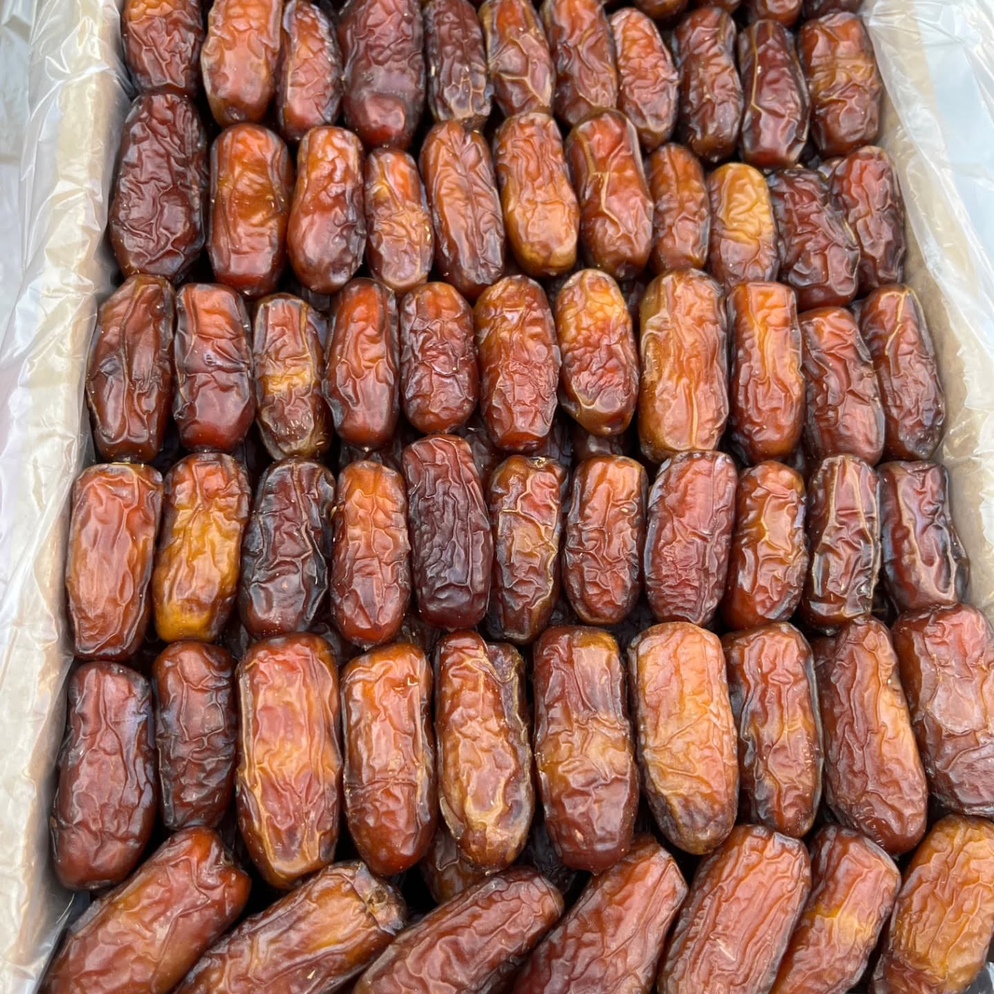 خرید عمده خرما پیارم برای صادرات