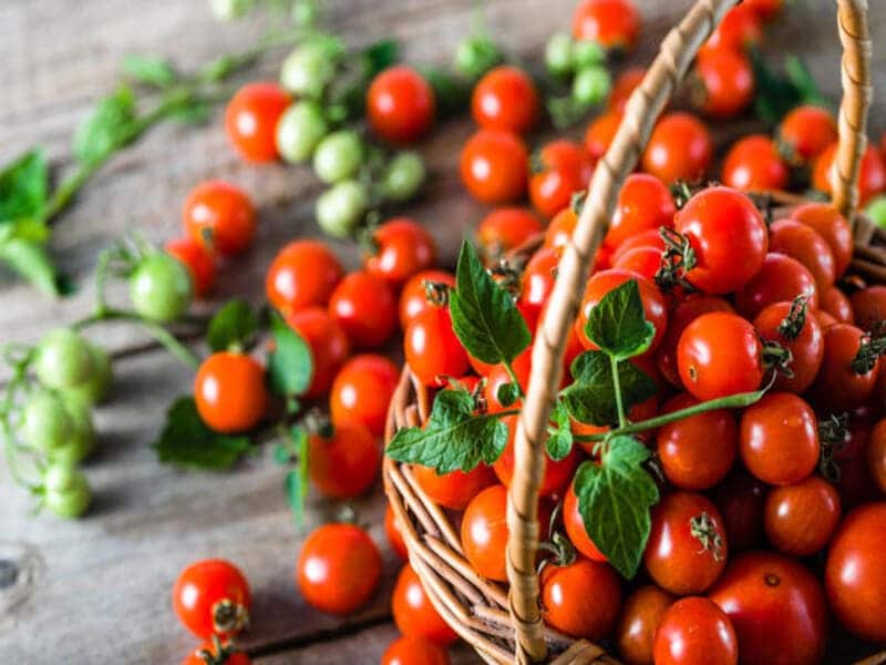تصویر 1 از قیمت رب گوجه فرنگی به یک شیشه‌ای ۶۸۰ گرمی ۸۰۰ گرمی