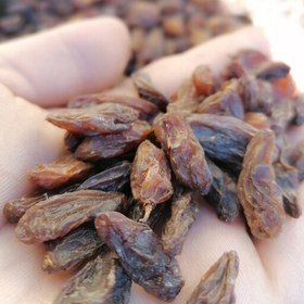 فروش کشمش گله