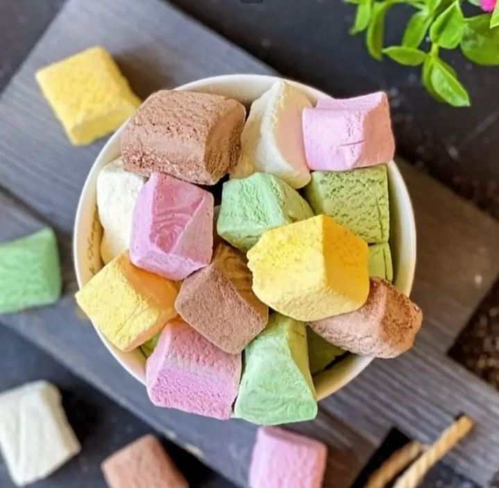 فروش بستنی خشک
