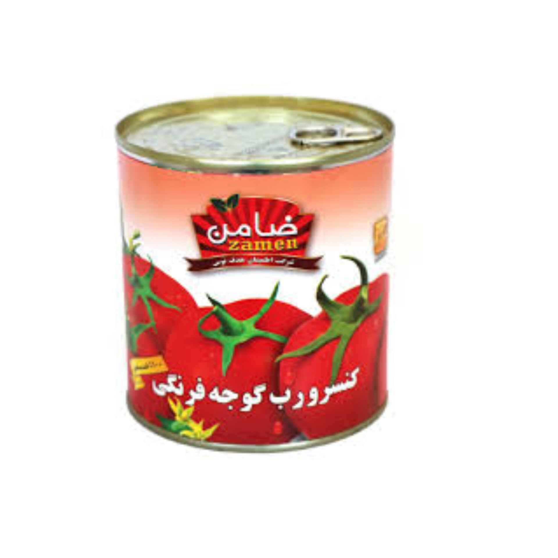 خرید رب گوجه فرنگی ضامن عمده با قیمت مستقیم از تولیدکننده