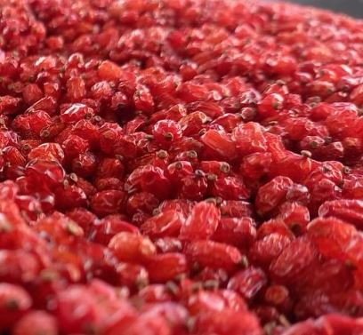 زرشک ایرانی تازه با طعم طبیعی و دلچسب
