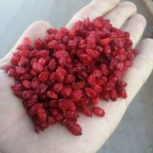 تصویر 4 از زرشک ایرانی تازه با طعم طبیعی و دلچسب