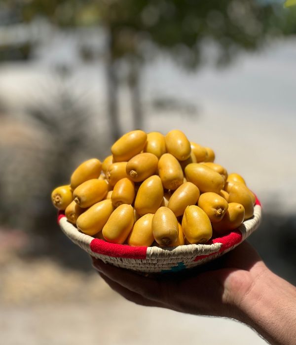 تصویر 3 از خرما خارک نرسیده بسیار شیرین تازه و طبیعی برداشت شده از نخلستان ها