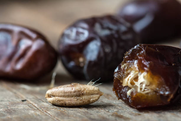 خرما مضافتی درشت آبدار و گوشتی جنوب ایران