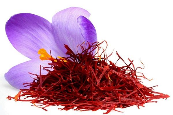 زعفران گلخانه ای مناسب مصرف خانگی و صنعتی