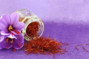 فروش زعفران گلخانه ای