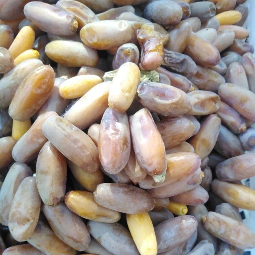 تصویر 2 از خرما شاهانی دانه کشیده تیره رنگ با طعم فوق العاده دلپذیر انتخابی خاص و خوش طعم