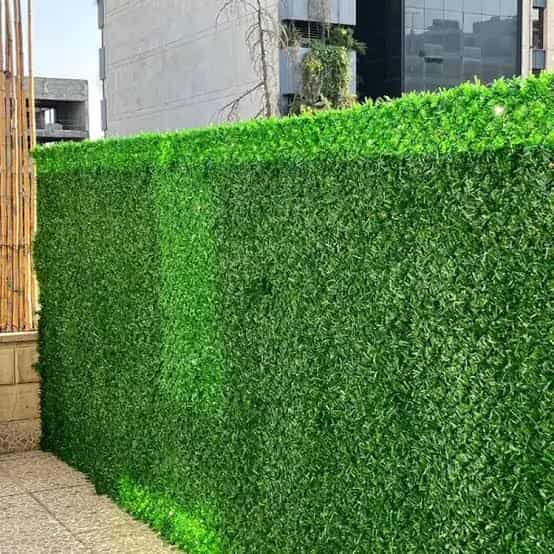 تصویر 1 از فنس چمنی متراکم مناسب محوطه سازی و حصارکشی