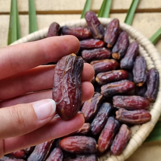 خرما شاهانی ممتاز سرشار از فیبر گیاهی جهت بهبود عملکرد گوارش