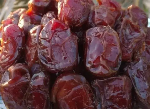 تصویر 2 از خرما قشقایی پرطرفدار بین مصرف کنندگان بابت کیفیت و بسته بندی شکیل مناسب پذیرایی روزانه