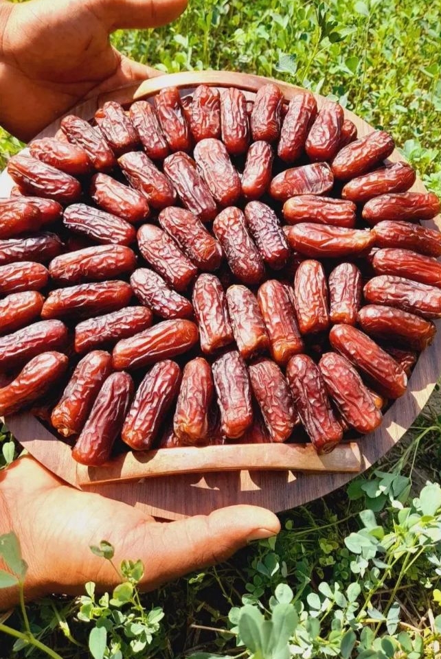 خرید عمده خرما پیارم با کیفیت ممتاز