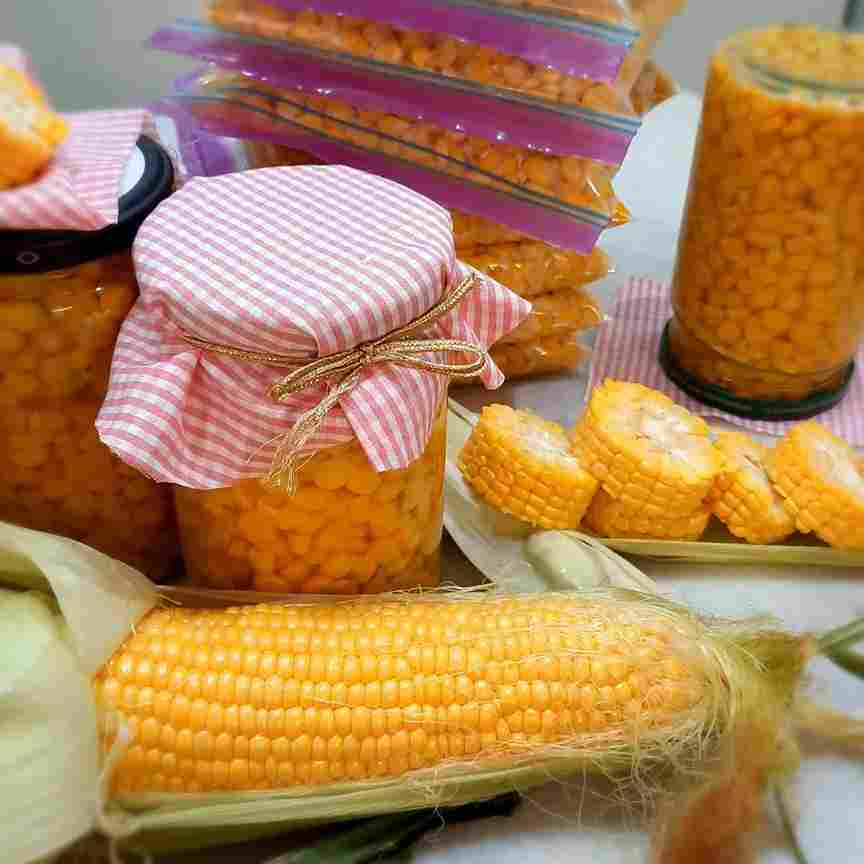 کنسرو ذرت شیرین با دانه های طلایی