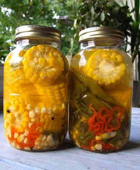 کنسرو ذرت حلقه ای انتخاب مناسب غذاهای فوری و خانگی