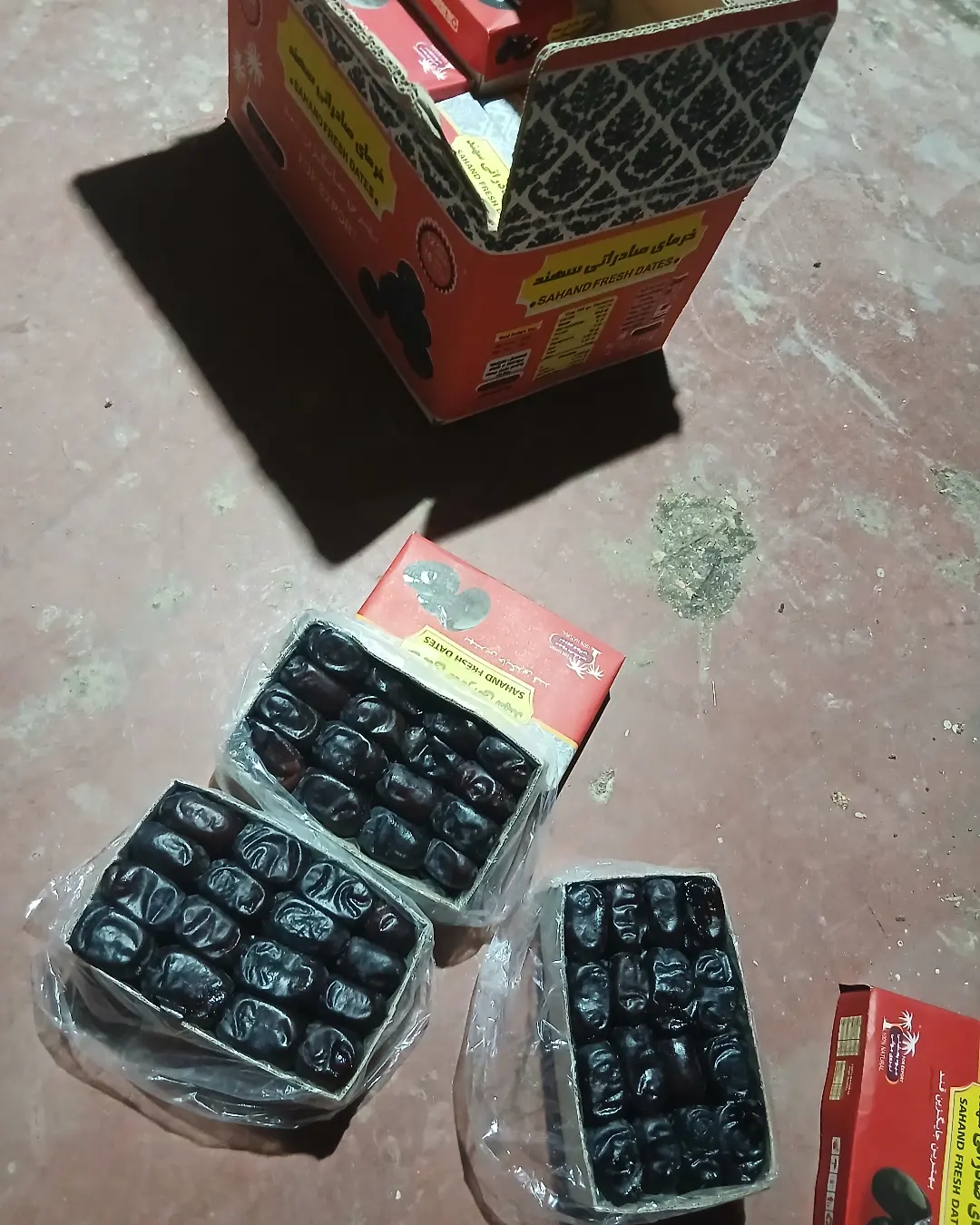 شرایط نگهداری خرما مضافتی