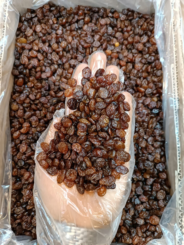 تصویر 4 از صادرات کشمش پلویی ممتاز