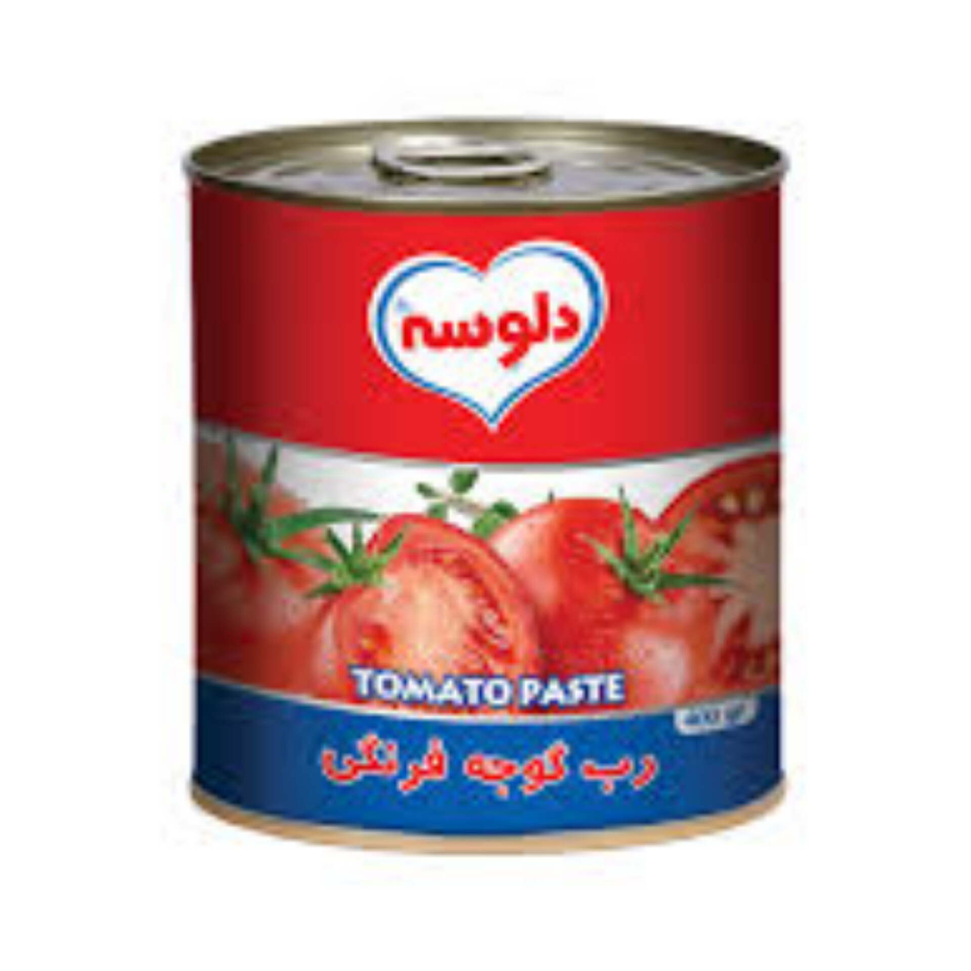 همکاری تجاری در تأمین و صادرات رب گوجه‌ فرنگی دلوسه ممتاز ایران
