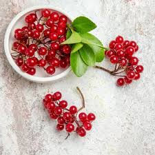 تصویر 1 از زرشک تازه پفکی خوش رنگ با کیفیت ممتاز