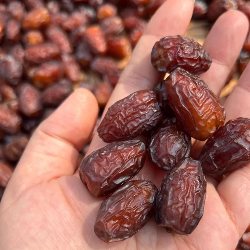 تصویر 3 از خرما پیارم سطلی ممتاز با طعم طبیعی گوشتی مرغوب
