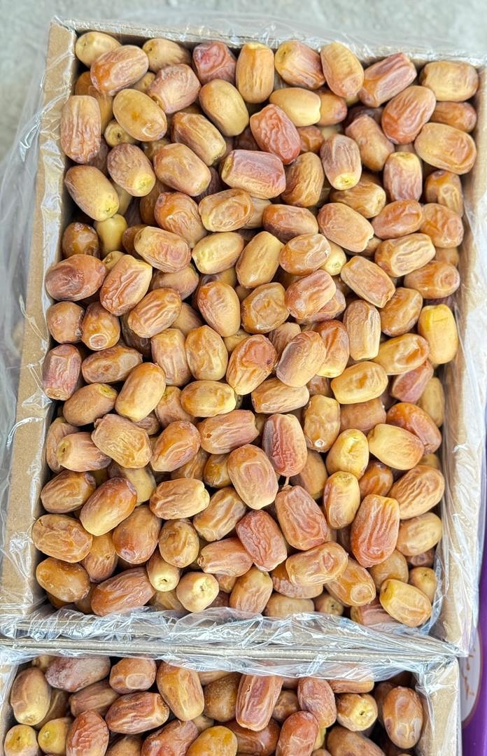 خرید خرما زاهدی مناسب صادرات
