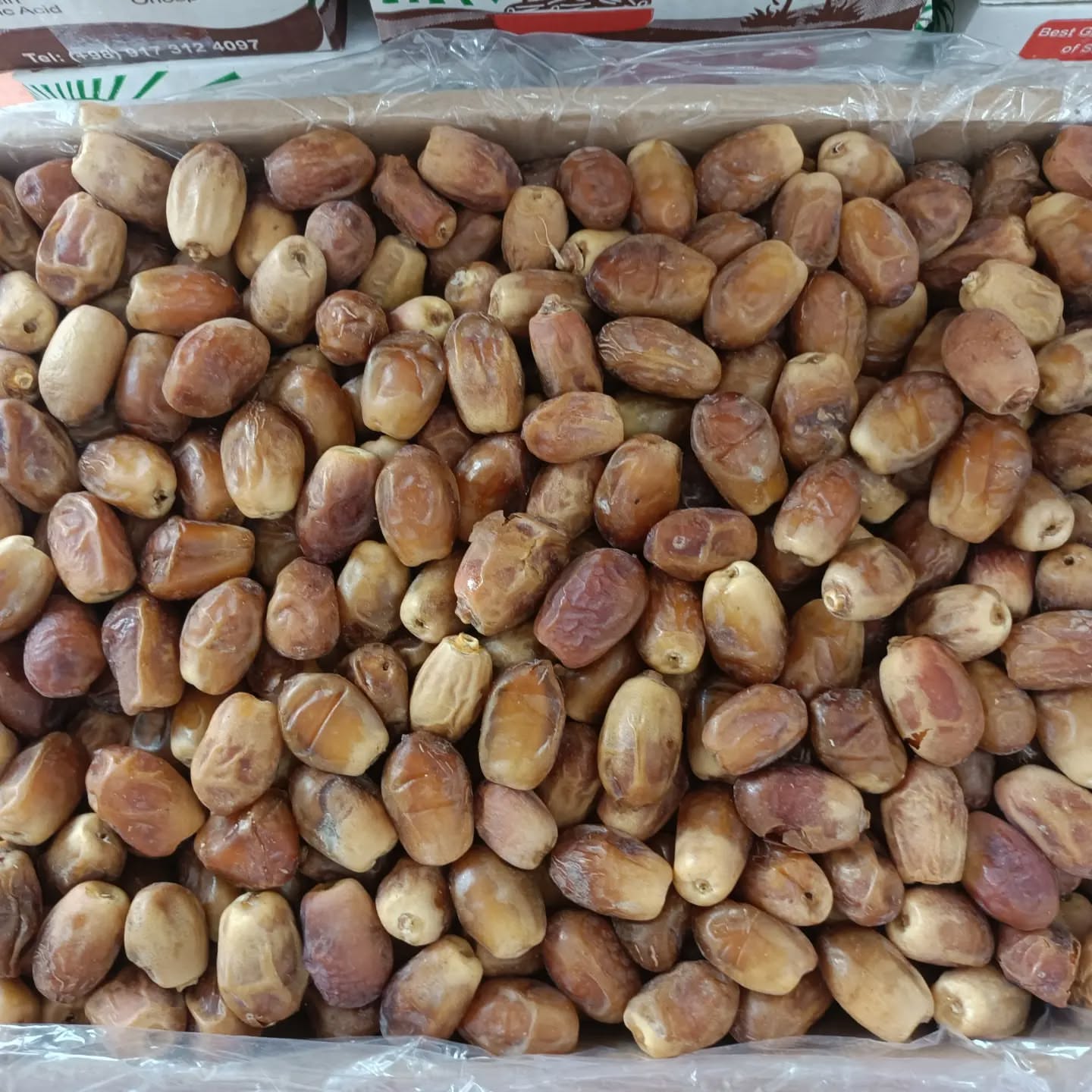 تأمین پایدار خرما زاهدی عمده