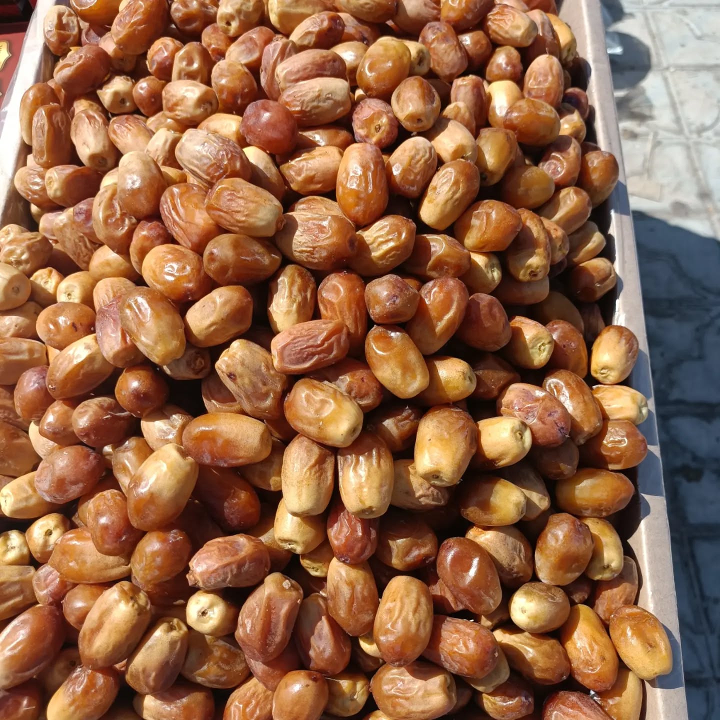 صادرات خرما زاهدی ایران