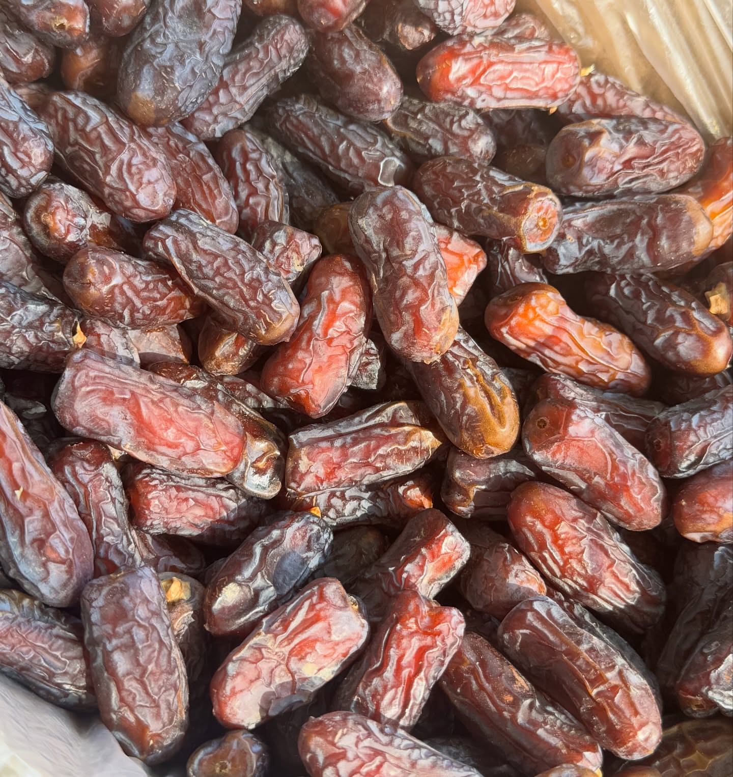 نقش هرمزگان در تولید خرما پیارم