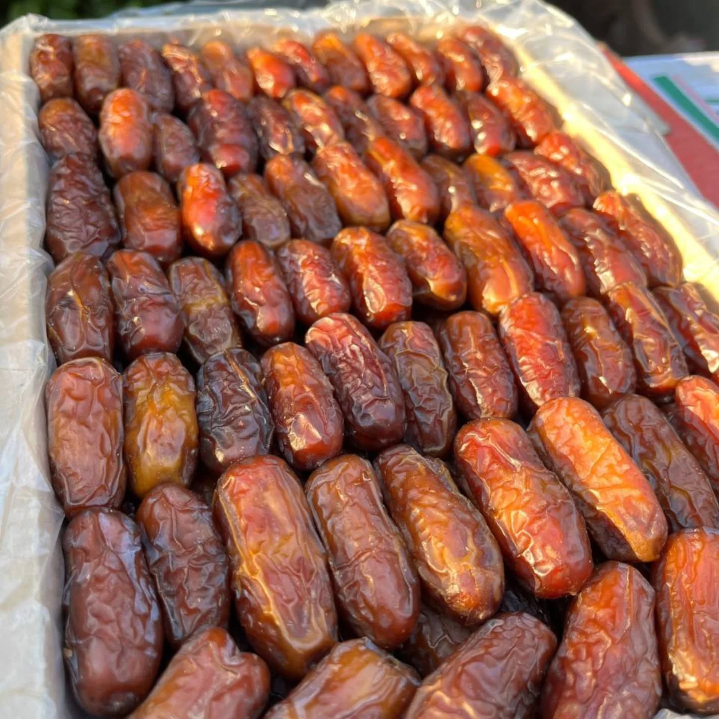 بازار داخلی خرما پیارم ایران